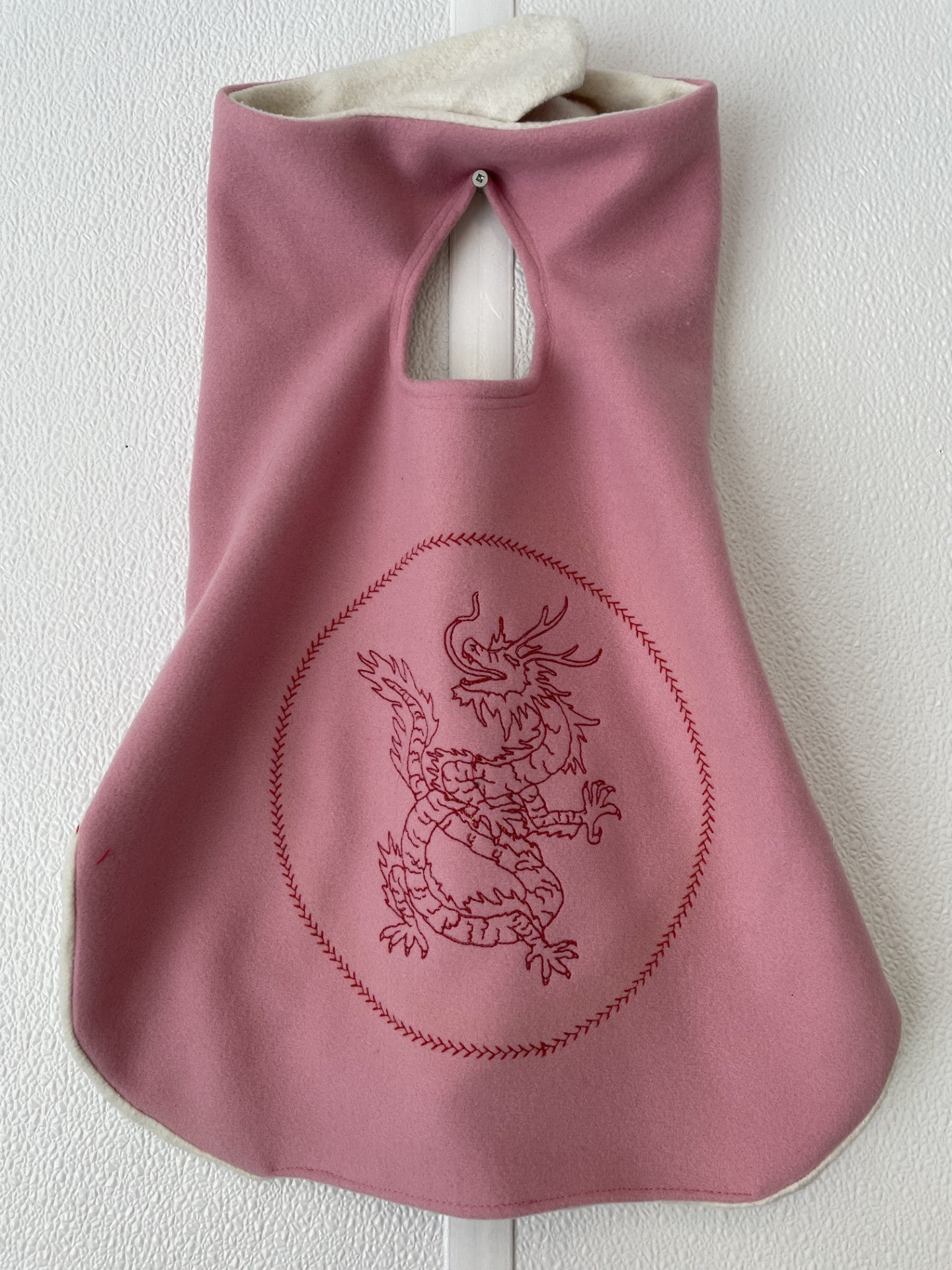 Lucky Dragon Lunar New Year Dog Coat